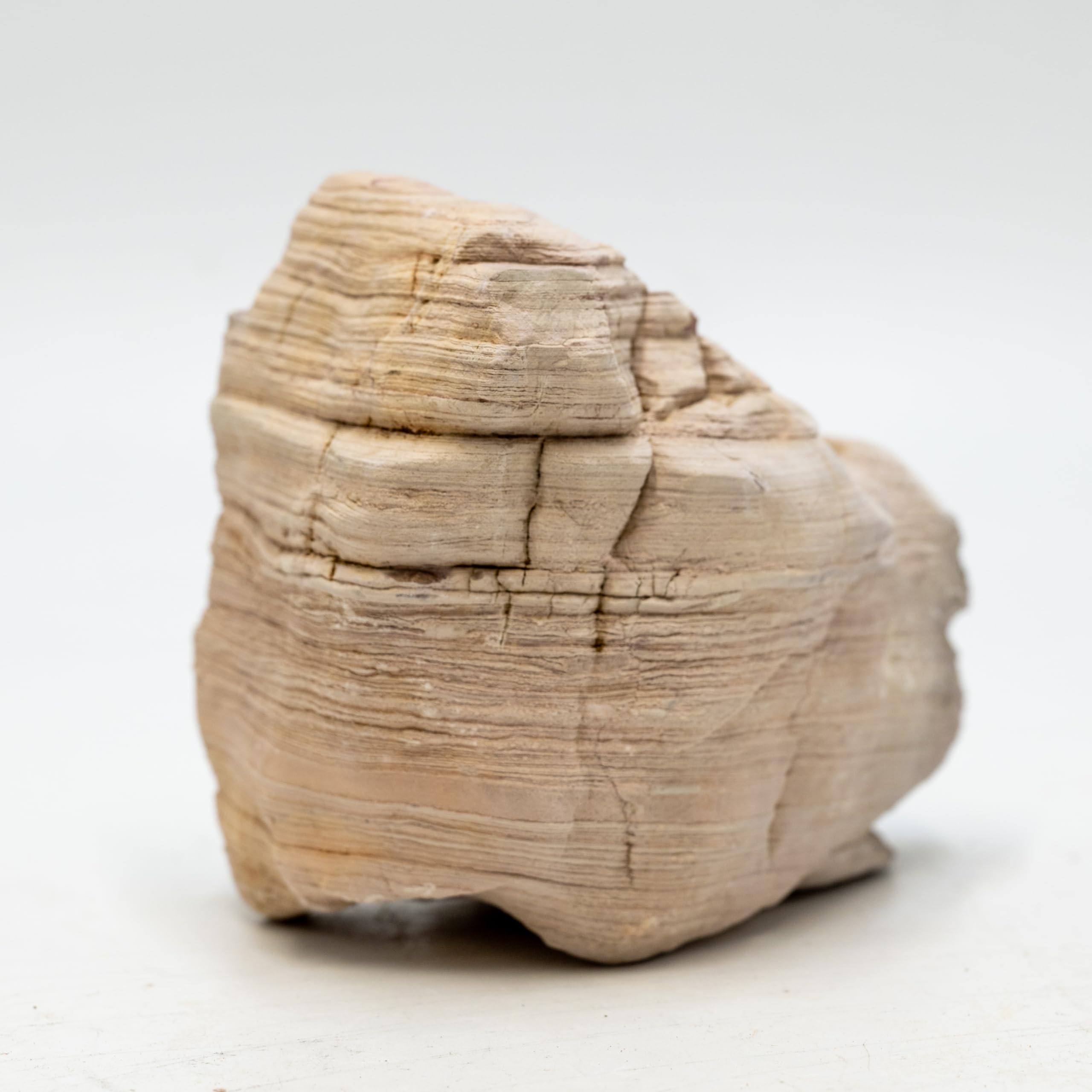 Piedra de acuario de 20 libras, piedra para acuario, paisajismo, terrarios, recintos de vivero, jardines en miniatura y de hadas, 7-8 piezas de 2 a 8 pulgadas