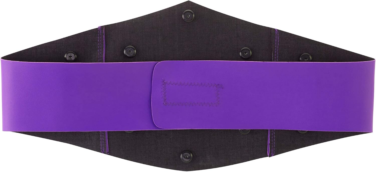 WWE CRUISERWEIGHT CHAMPIONSHIP