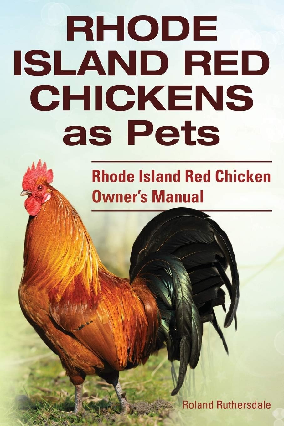 Rhode Island Red Chickens as Pets. Rhode Island Red Chicken Owner's Manual Paperback – September 25, 2014