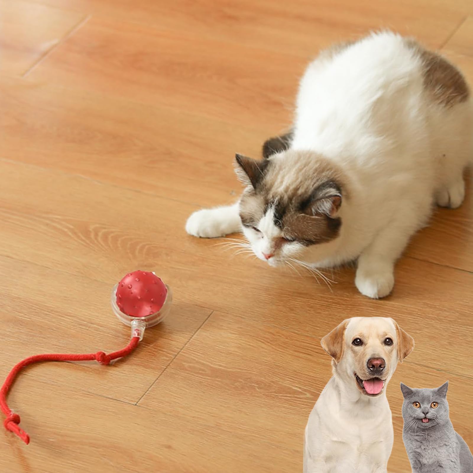 Tiny Fetch Ball Dog Toy, Interactive Fast Moving Ball with Birdsong, 3 Modes Available, Smart 360° Rolling Rechargeable Dog Cats Ball for Dogs and Cats (Blue+Red) - 3