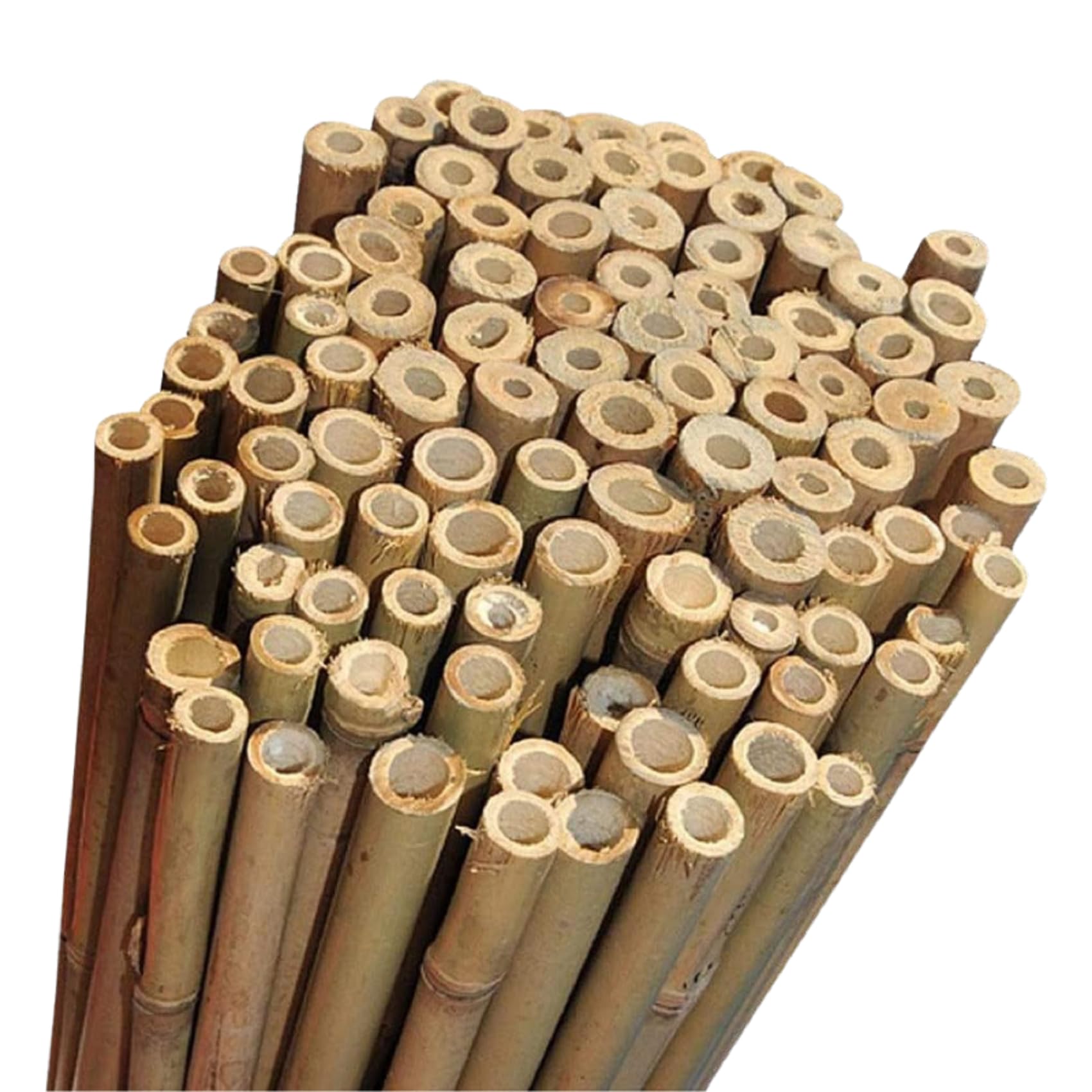 Princekingx Heavy Duty Bamboo Canes – Professional Plant Support Garden Canes – Extra Strong Thick Cane Sticks, Natural wood Large Trellis Shed Protection, For Home, Outdoor, Gardening Jobs (30, 3FT)