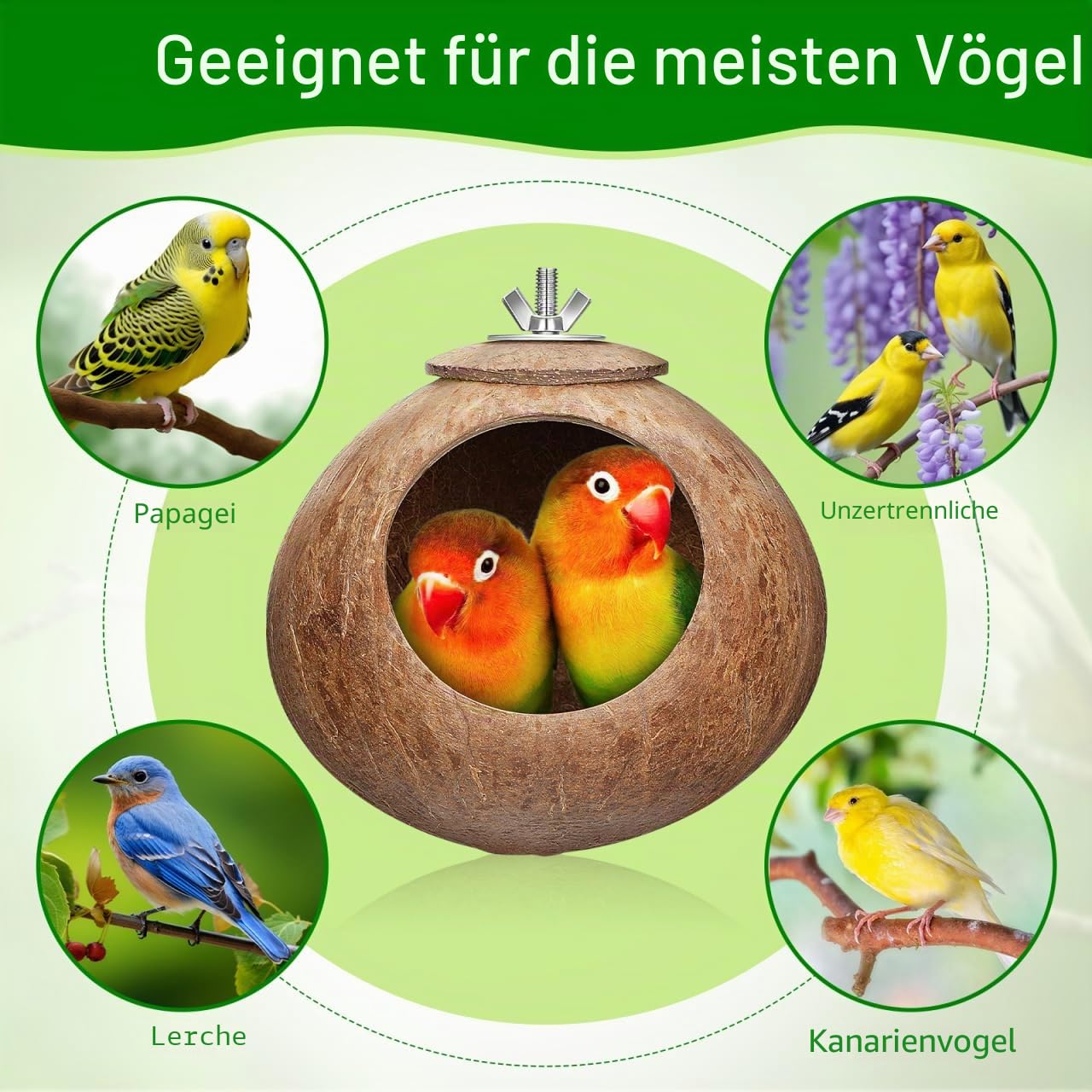 Popetop Nest für Vögel, Winter, warm, Vogelnest, Natur, Kokosnuss, Simulation, Nistkasten für Gras, Hütte, Vogel, Sittich, Nistkasten