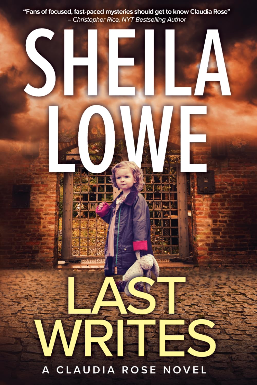 Last Writes: A Claudia Rose Novel: 4 (Claudia Rose Forensic Handwriting Mysteries)