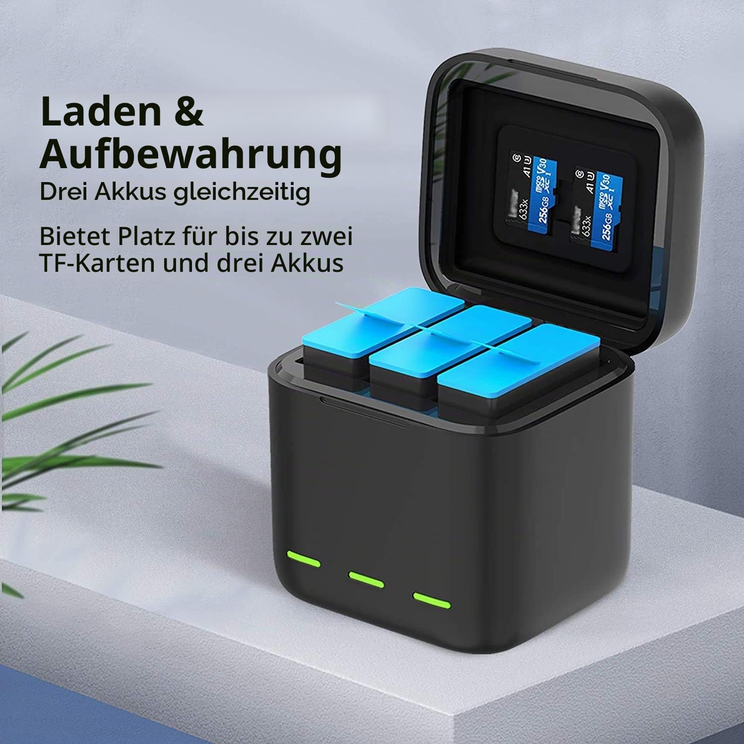 REYGEAK Hero 12 /Hero 11/10/9 Akku, Dreifach-Ladegerät und Speicherbox mit 3 Kanälen(Ladegerät + 2 × Batterie)