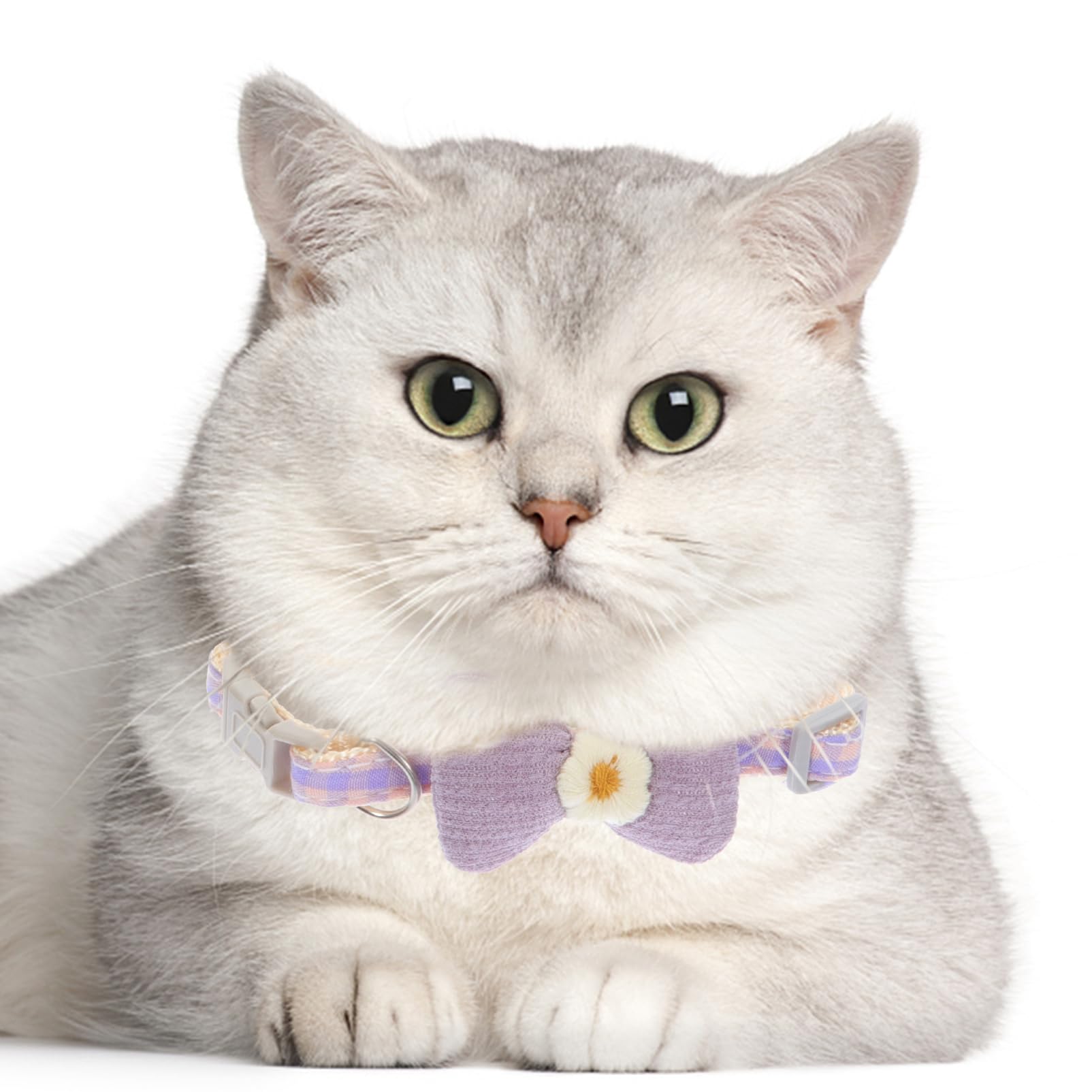 POPETPOP 10stücke Dekoratives Katzenhalsband Mit Schleife Anpassbares Festliches Hundehalsband Für Tägliche Nutzung Und Besondere Anlässe