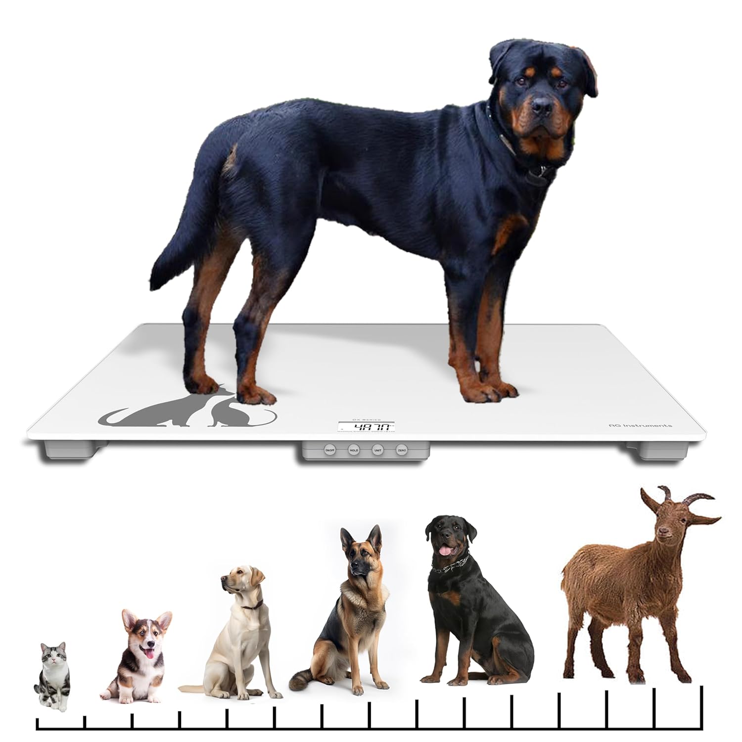 Digital Weighing Scale for Dogs Cats Puppies, Vet Scale, Scale for Animals Pets, 330lb x 0.1lb, Veterinary Scale, 33 x 19in Wide Platform, 8mm Tempered-Glass