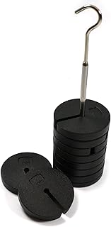 10 Piece Slotted Mass Set, 1000g - Zinc Casted - Includes 9 Weights (100g Each), one Hanger (100g) - Eisco Labs