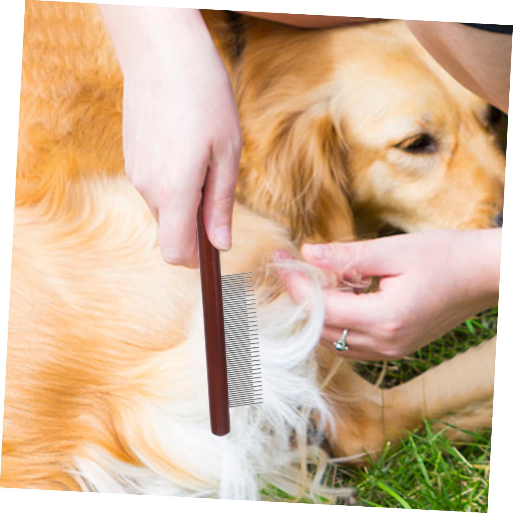 ifundom 3Pcs Pet Grooming Comb Wooden Handle Long Needle Comb for Cats Dogs Portable Wear Resistant Hair Brush for Tear Stains Ergonomic Design Safe for Sensitive