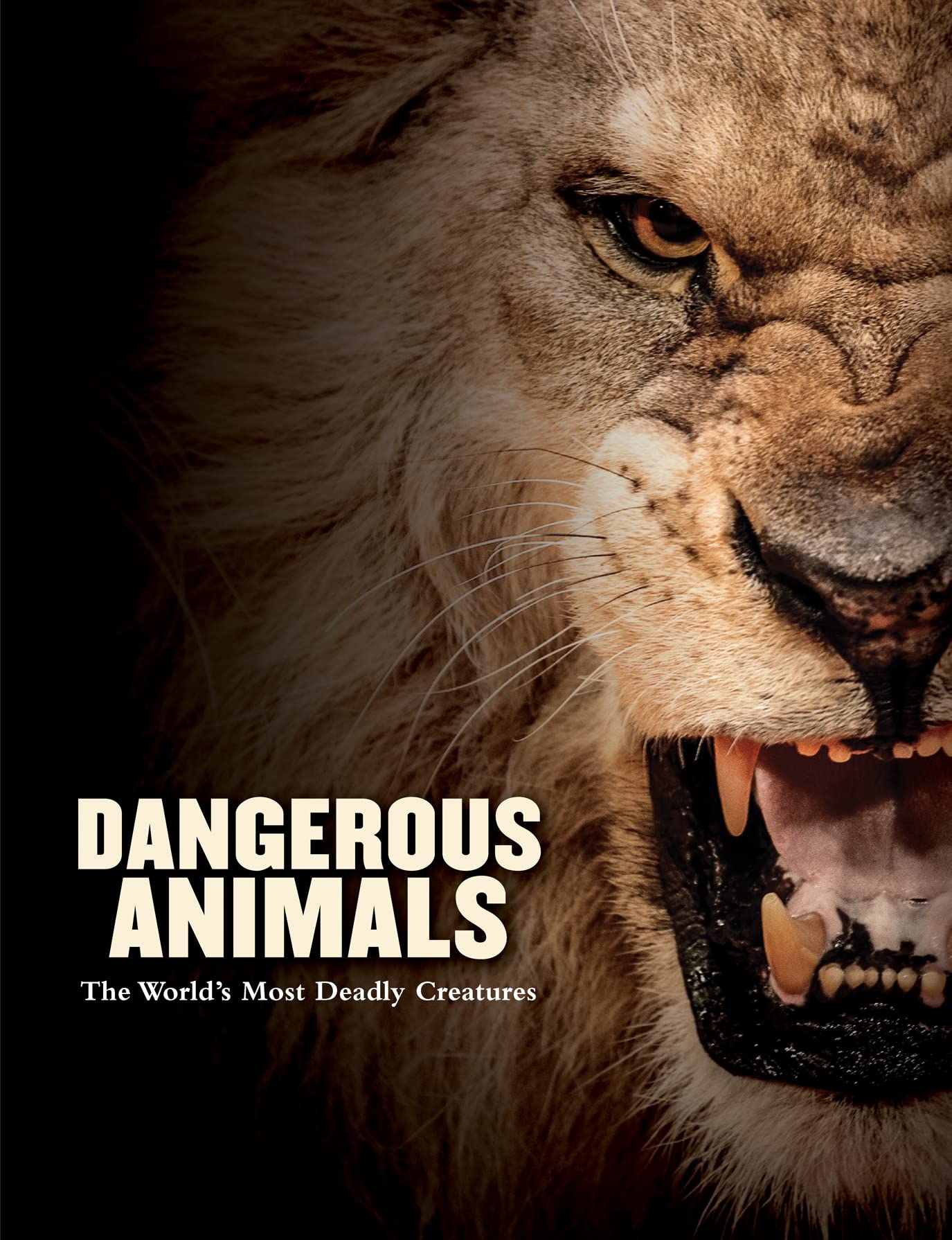 Dangerous Animals: The World's Most Deadly Creatures (Animals in Photographs)