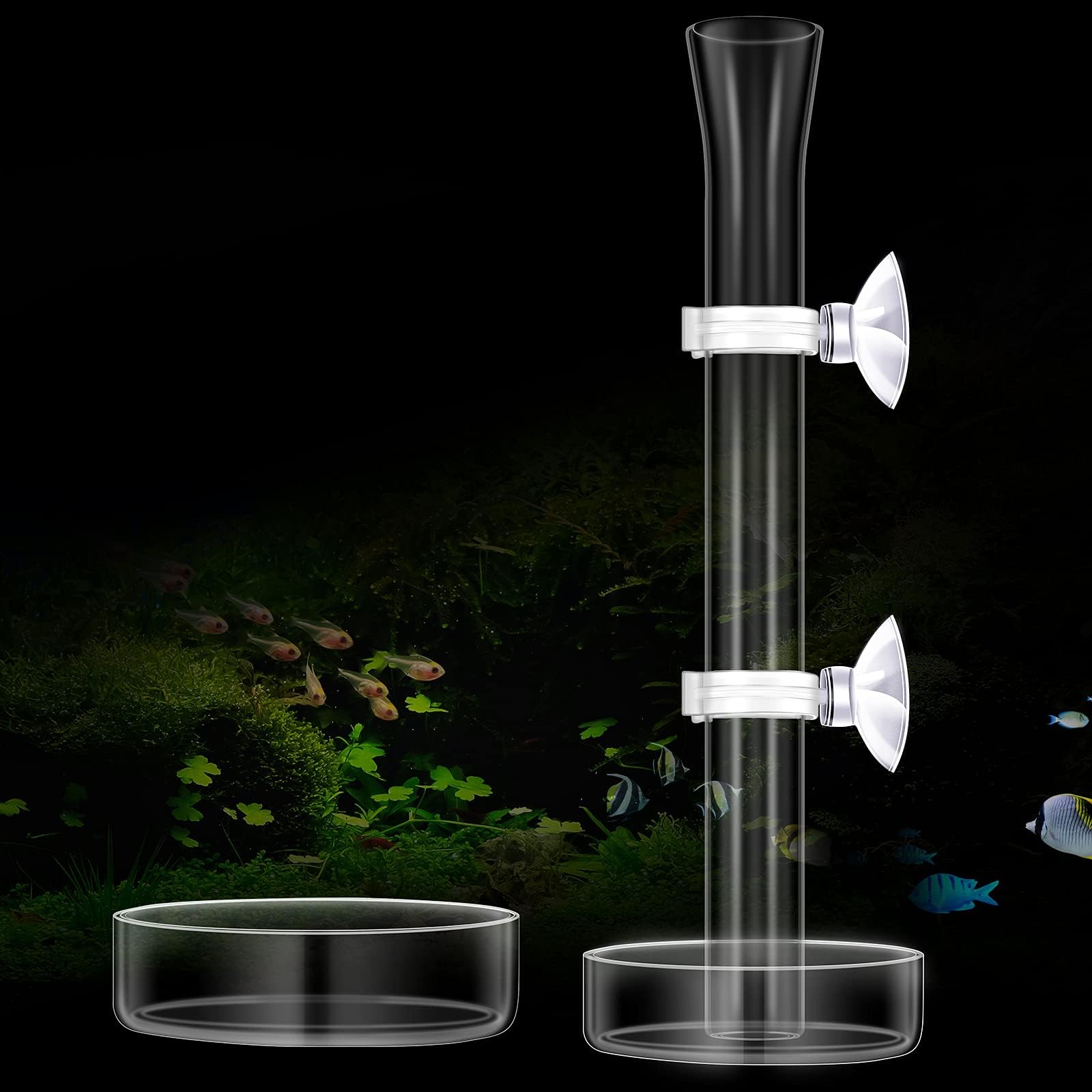 TIESOME Acrylic Fish Shrimp Feeder, Transparent Durable