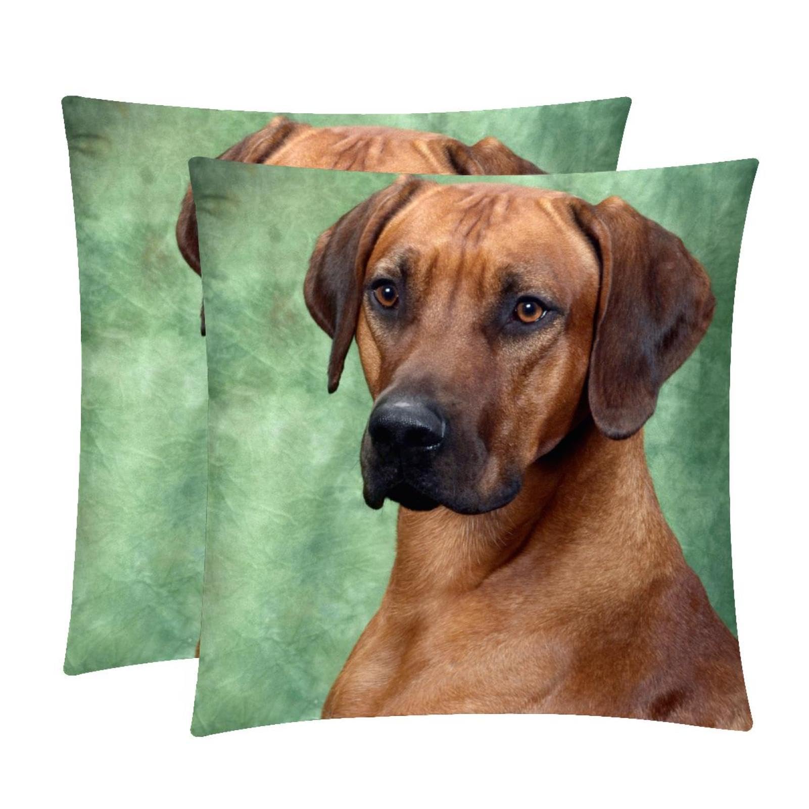 TDGKPZ Dog Throw Pillow Covers 2 Pack Cushion Cases Decorative Pillow Cases Home Decor 40x40cm