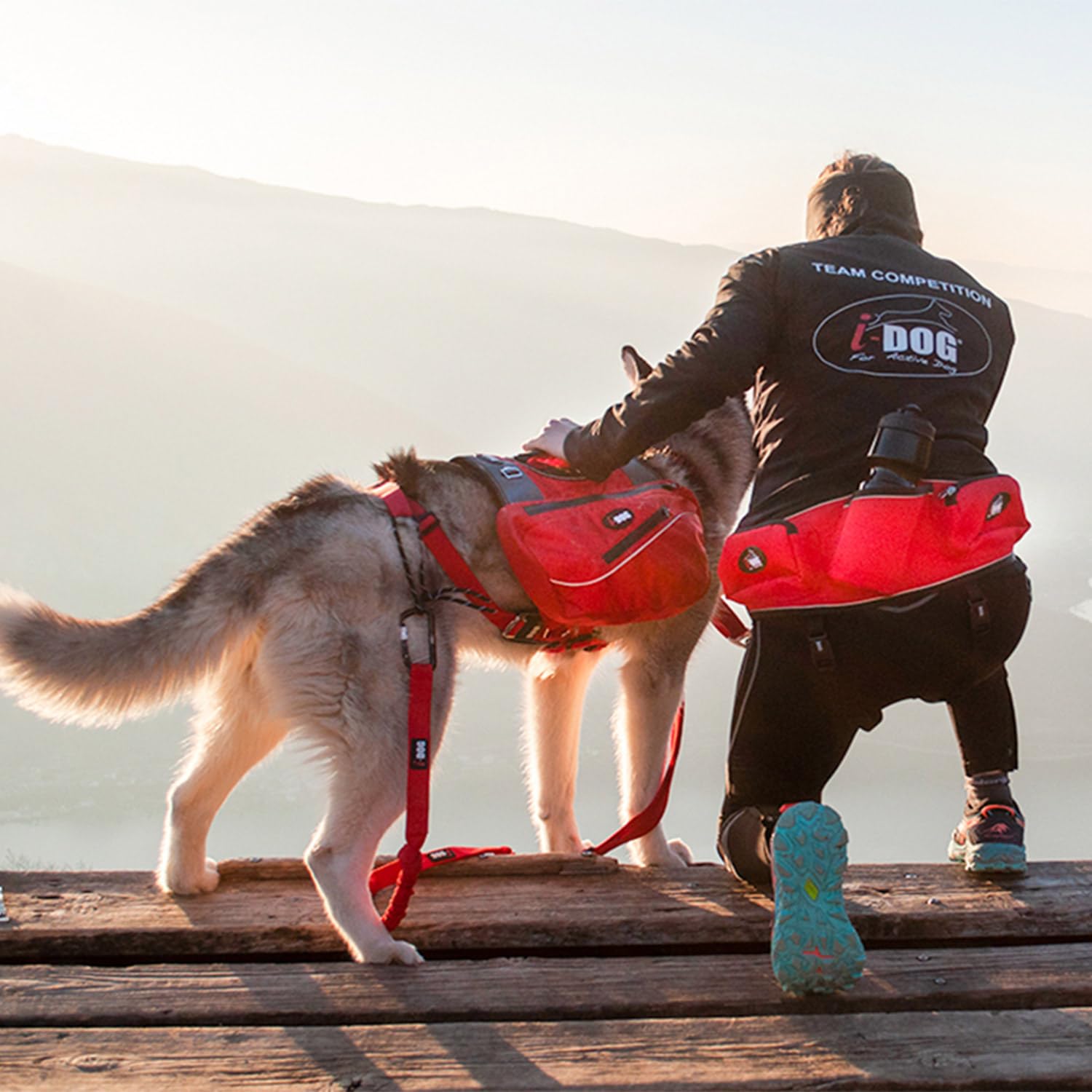 Baudrier Ceinture Confort Trek I-DOG (Marque Française) canicross, cani randonnée, cani Jogging, cani Trail, Utilisation Sportive ou Loisirs pour Courir avec Son Chien, Taille Unique - Rouge