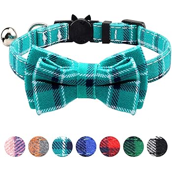 turquoise cat collar