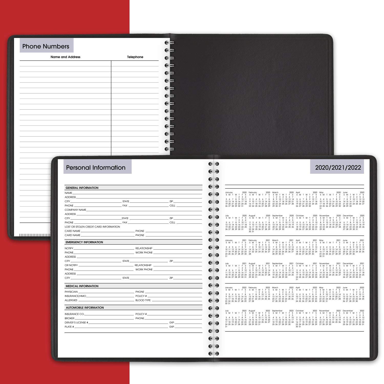 AT-A-GLANCE, Agenda settimanale 2021, 17,8 x 21,9 cm, media, a colonna, DayMinder, nero (G5900021)