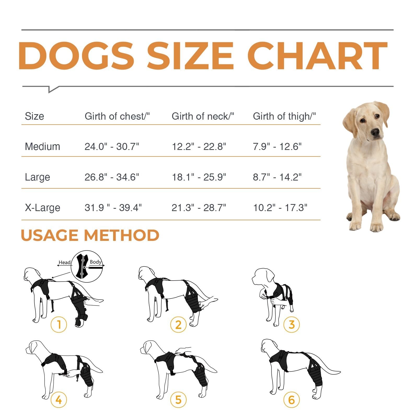 Tutore per ginocchio per cani Labrador per gamba lacerata, rotula lussante, tutore per ginocchio con stecca in metallo incernierato, supporto per ginocchio per CCL, migliore recupero con tutore