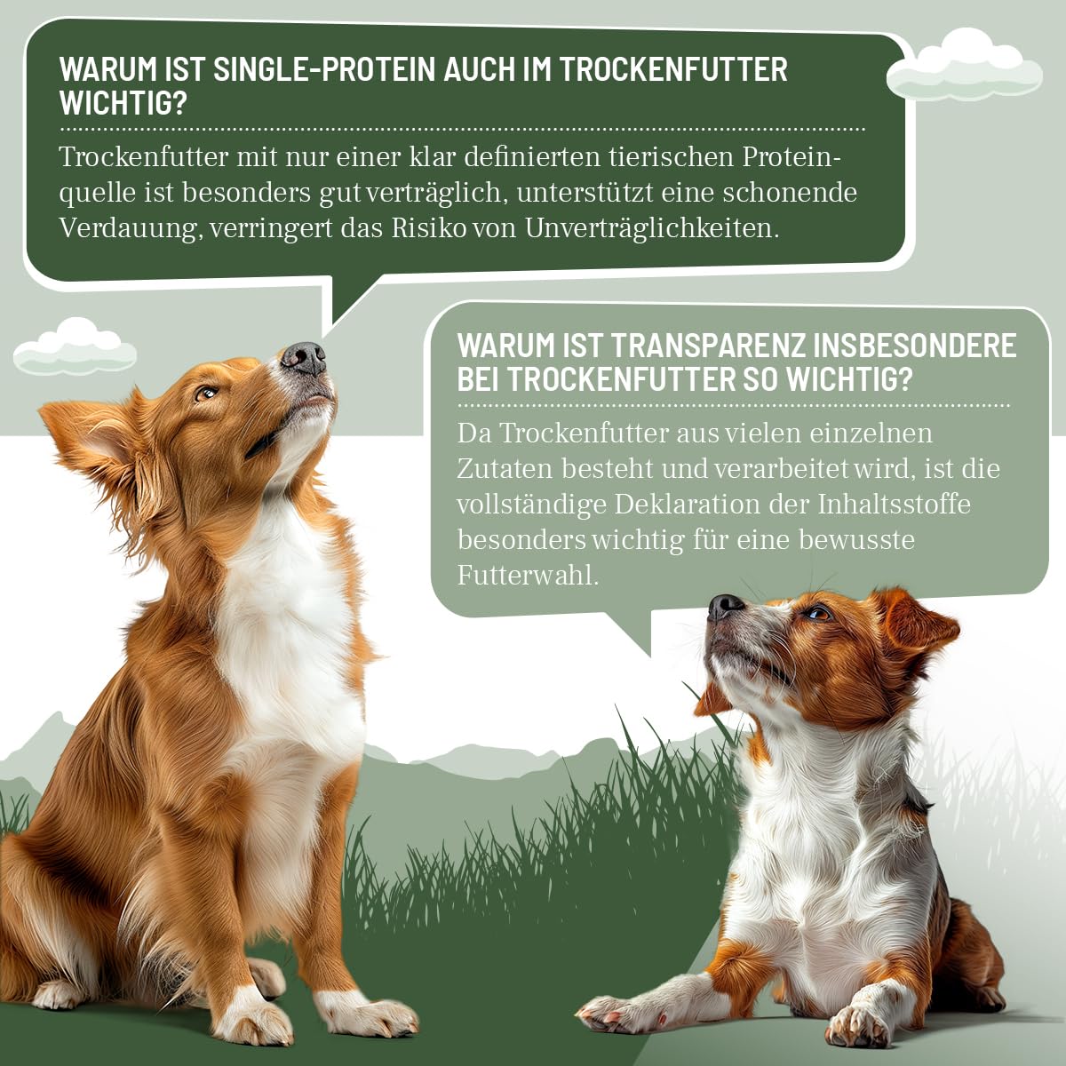 REAVET HYPOCONCEPT sucha karma dla psów, jeleń – receptura pojedynczego białka, 12,5 kg, bez zbóż i bez cukru, sucha karma dla wszystkich psów i ras, również dla wrażliwych psów i przyjazna alergikom