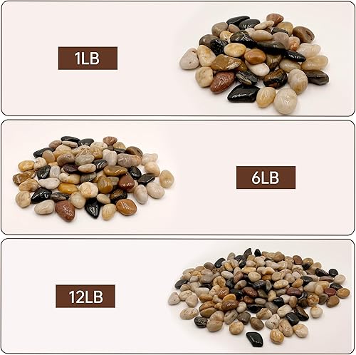 Miniatura 3 de Piedras de 12 libras, rocas de río de gravilla de guisantes de 0.4-1.2 in, para plantas de interior, piedras decorativas altamente pulidas, relleno