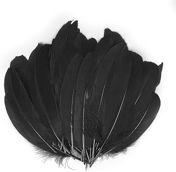 100Pcs Black Feathers for Crafting Supplies, 15-20cm Long Fluffy Feather Decoration for DIY Dream Catchers Ornament Crafts