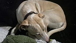 Review Image by j.lina j.lina