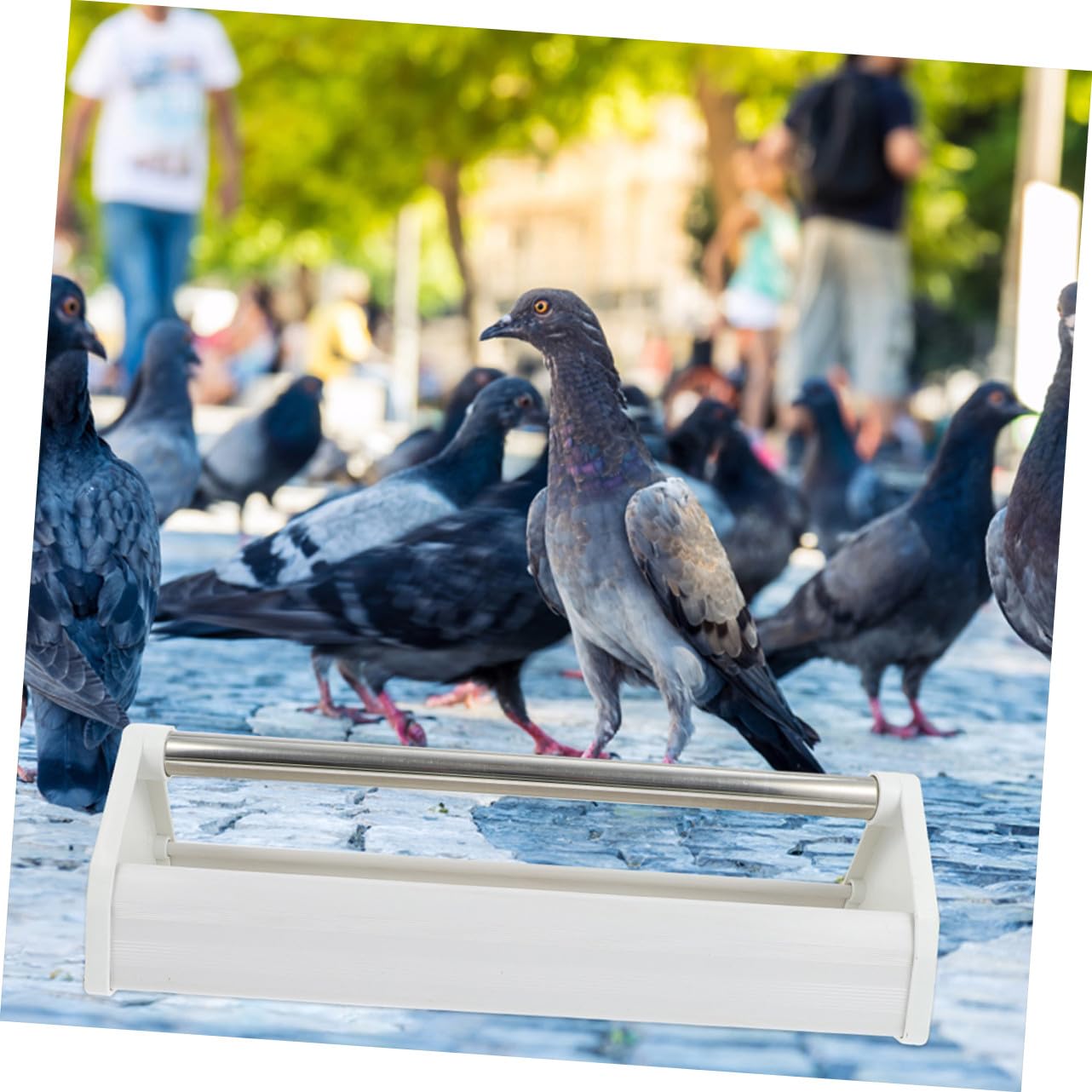 Homoyoyo Mangeoire pour Pigeons et Perruches en Plastique Résistant 40 Cm Lot de 2 pour Alimentation Intérieure et Extérieure Jardin Parc Oiseaux