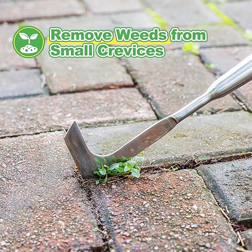 Miniatura 3 de Berry&Bird Herramienta de deshierbe de grietas de mango largo de 63 pulgadas, herramienta de deshierbe de grietas de acero inoxidable, herramienta