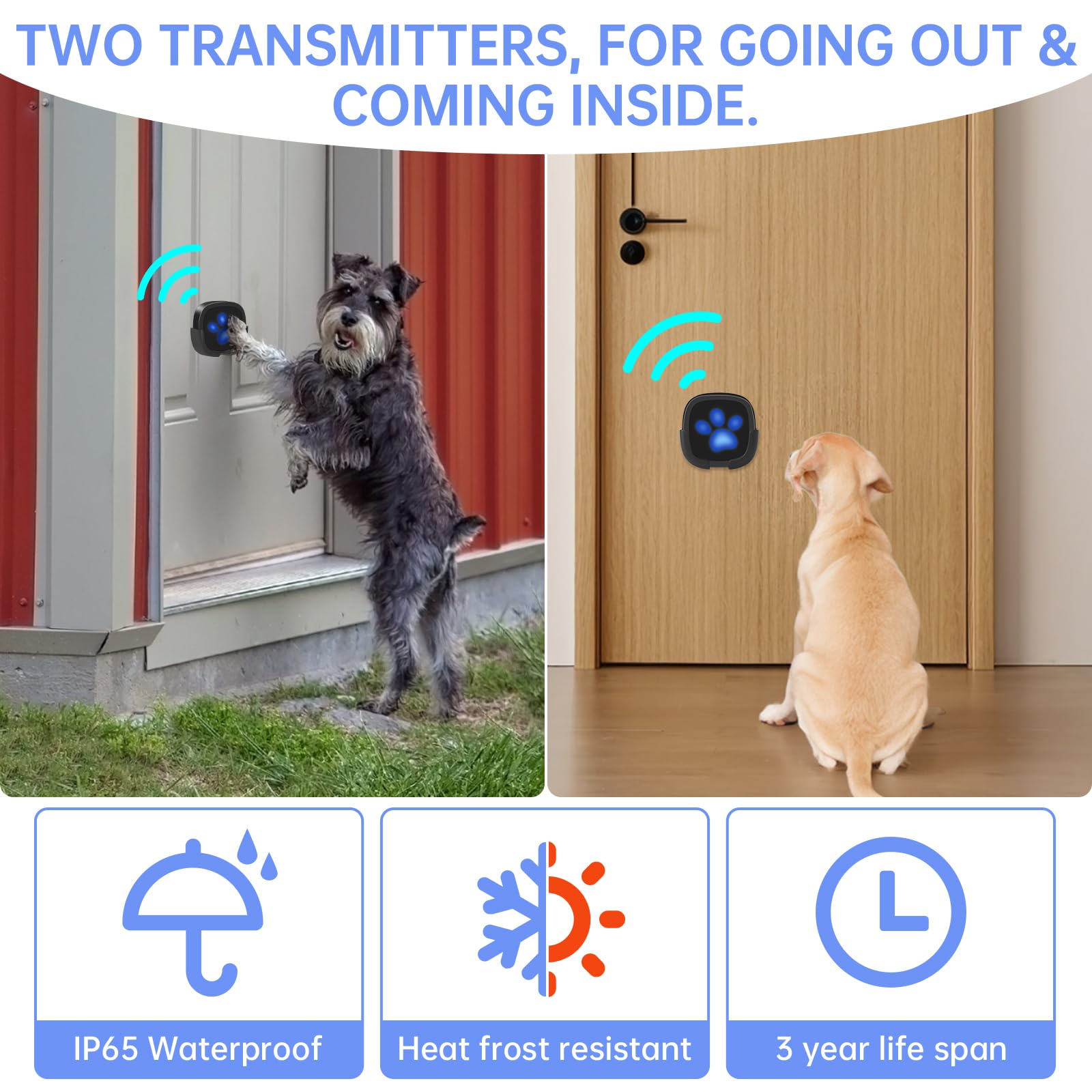 Dog Doorbell Training: Unlock Canine Communication