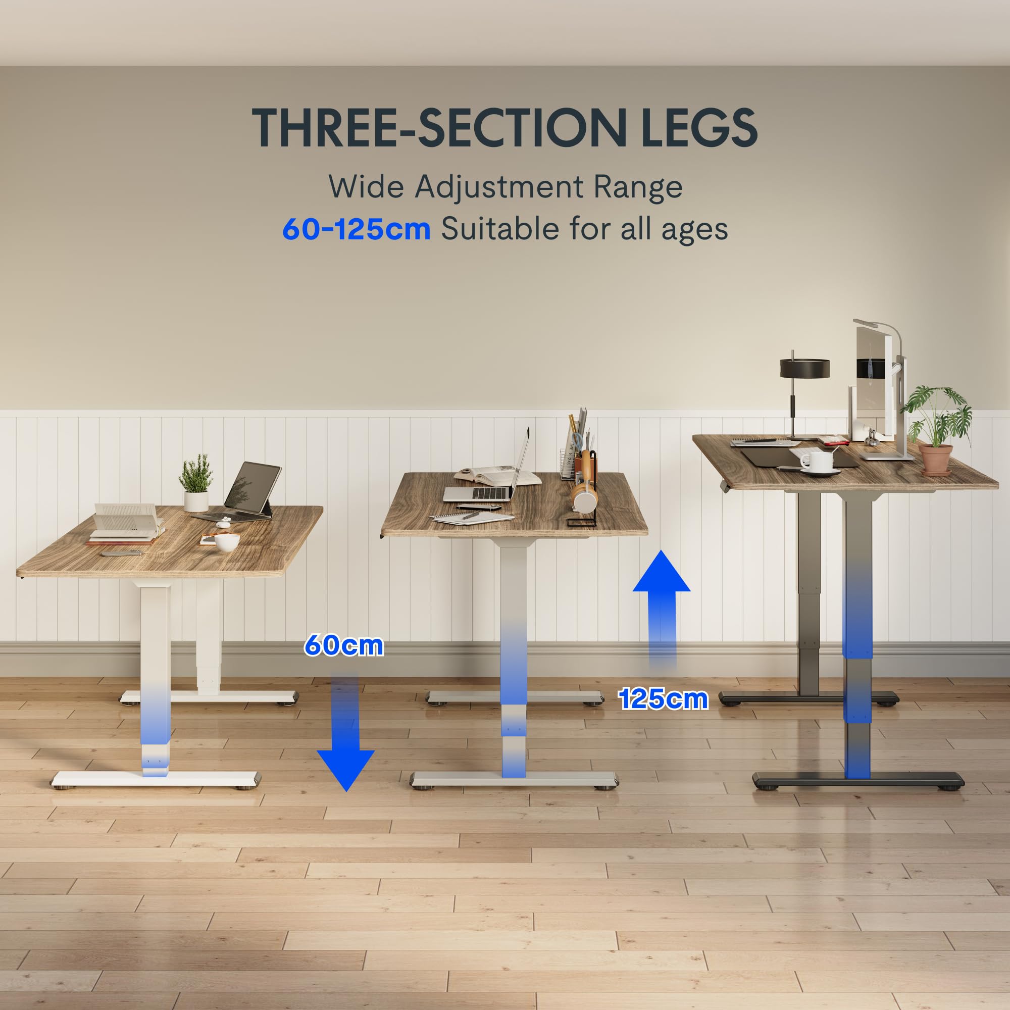 FlexiSpot E5-Lite Bureau Assis-Debout Électrique,2 Moteurs, Hauteur Réglable,3 Colonnes,Charge 100 kg,Mémoire, Anti-Collision, Blanc - Maison