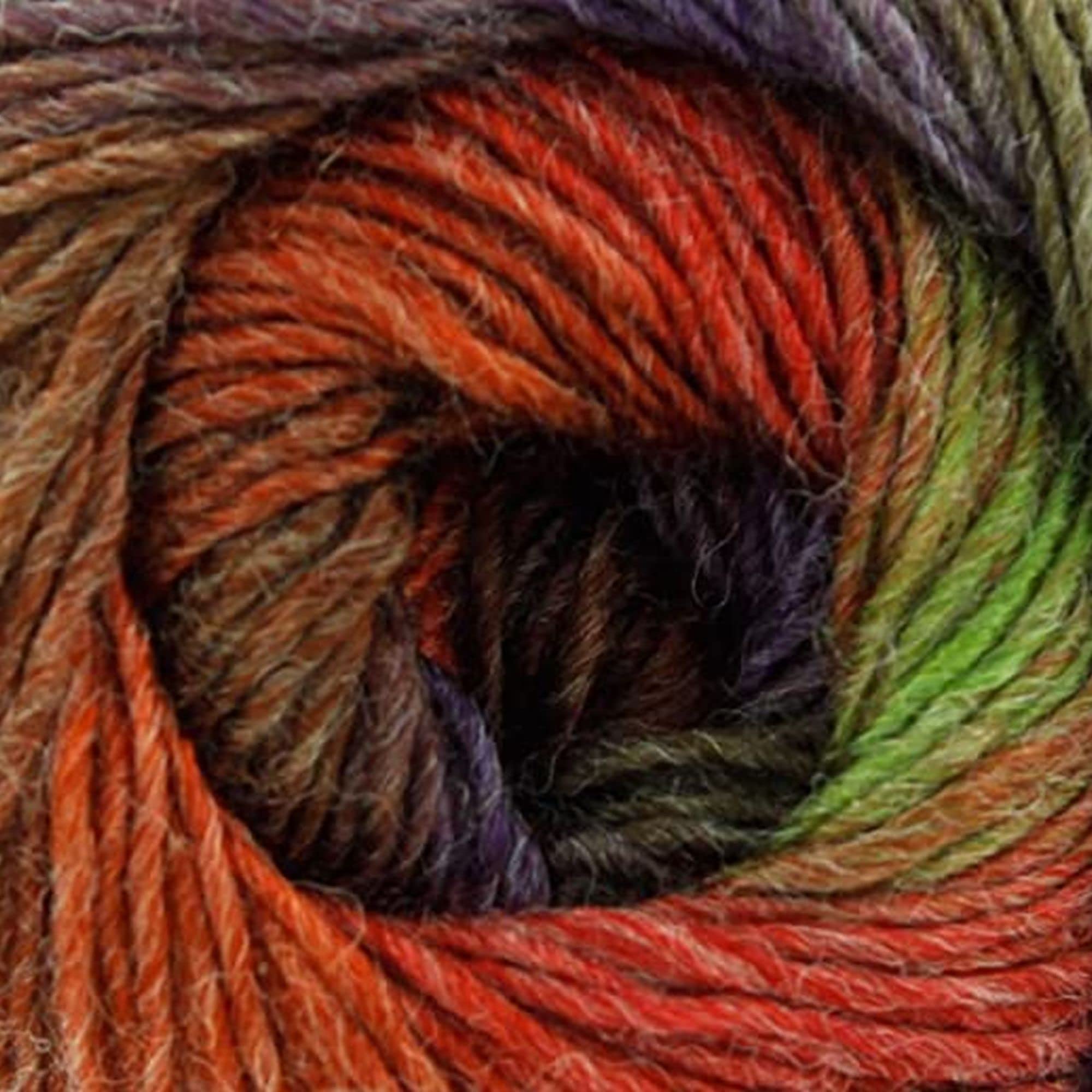 King Cole Riot DK 100g - 403 Wizard