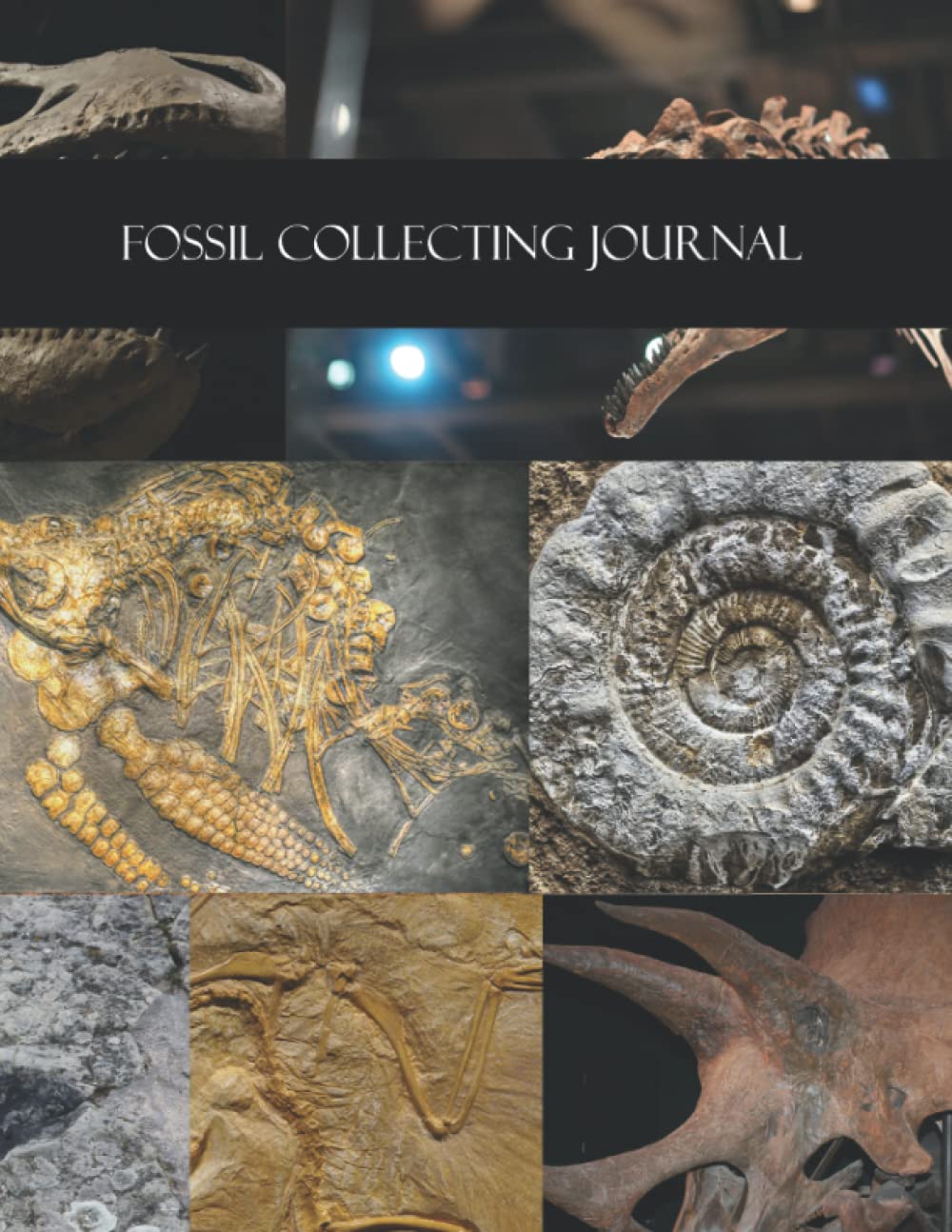 Fossil Collecting Journal: For Keeping an Accurate Record of your Collection, Location Explored and Important Information.