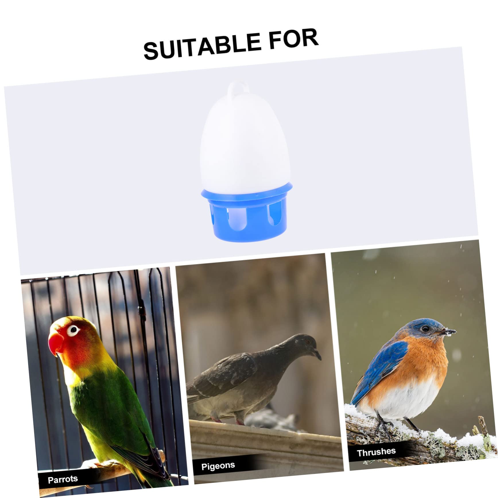 Abreuvoir pour Pigeons en PVC Bleu, Modèle Rond, Simple à Utiliser