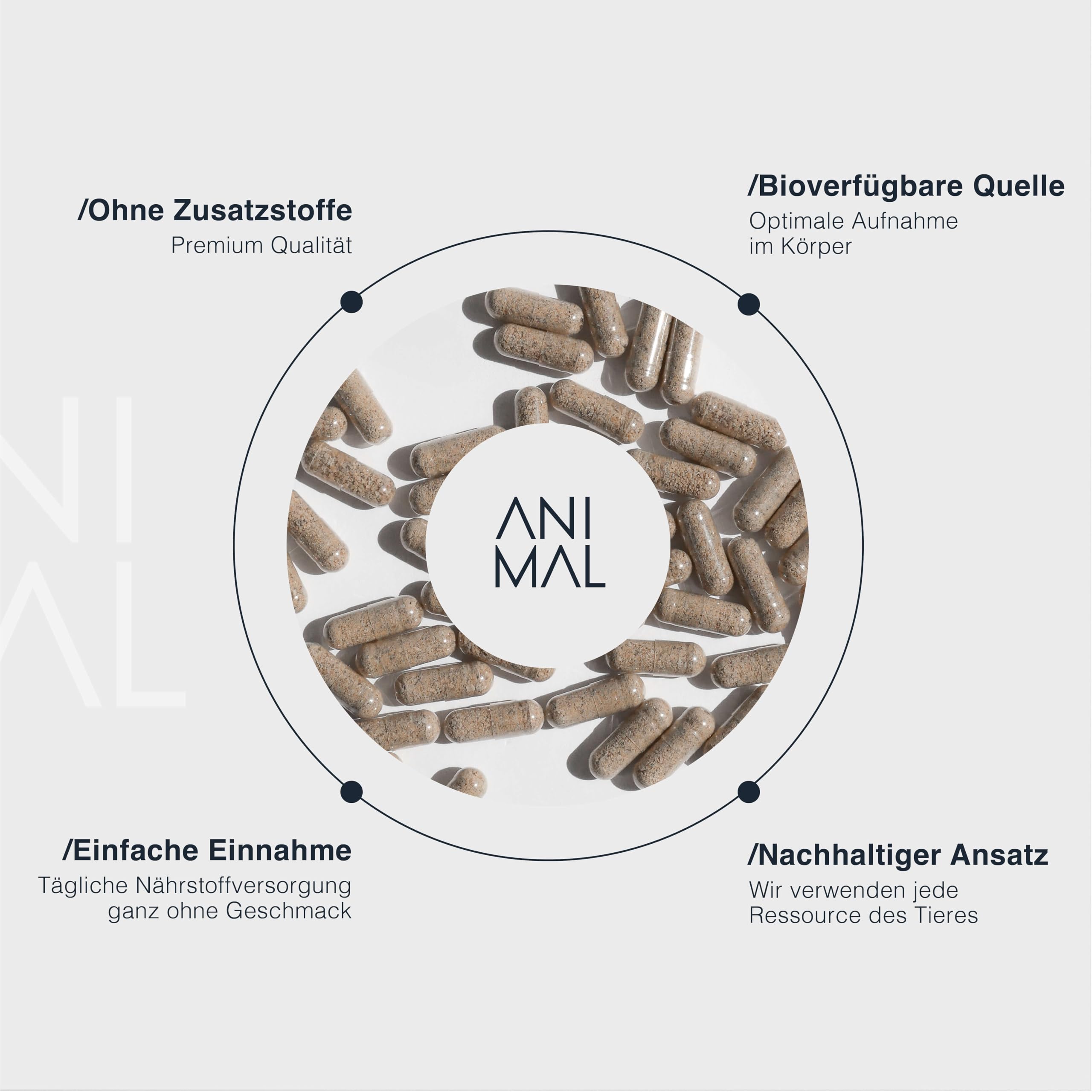 Animal Based Rinderleber [240 Kapseln] - Natürliches Eisen, Vitamin A, B12, Kupfer - Grass Fed Beef Liver - Weidequalität aus Neuseeland - Optimale Nährstoffaufnahme - Halal zertifizierte Rohstoffe