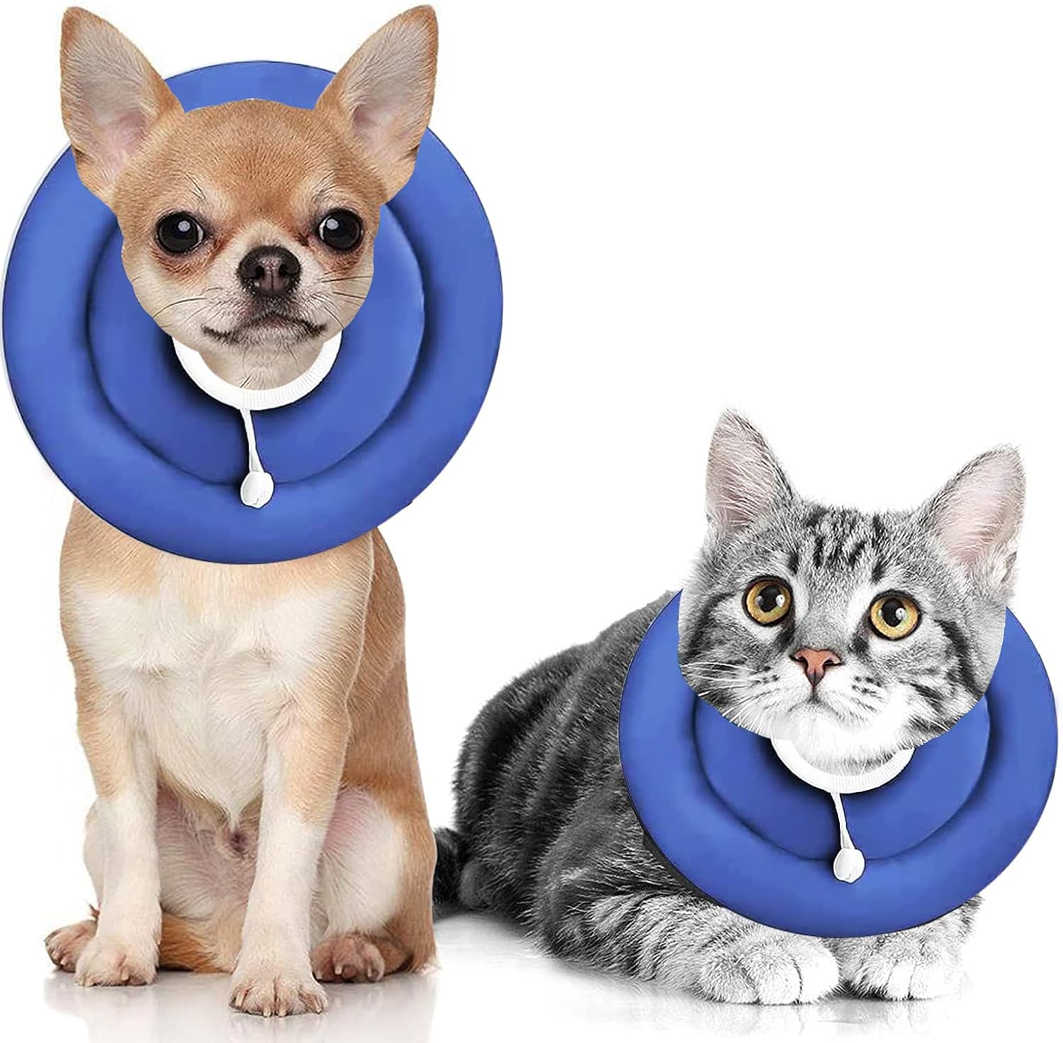 Why Does My Dog Lick My Ears And Neck