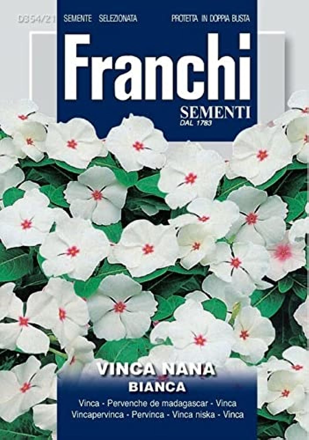Vinca Premium Quality Seeds