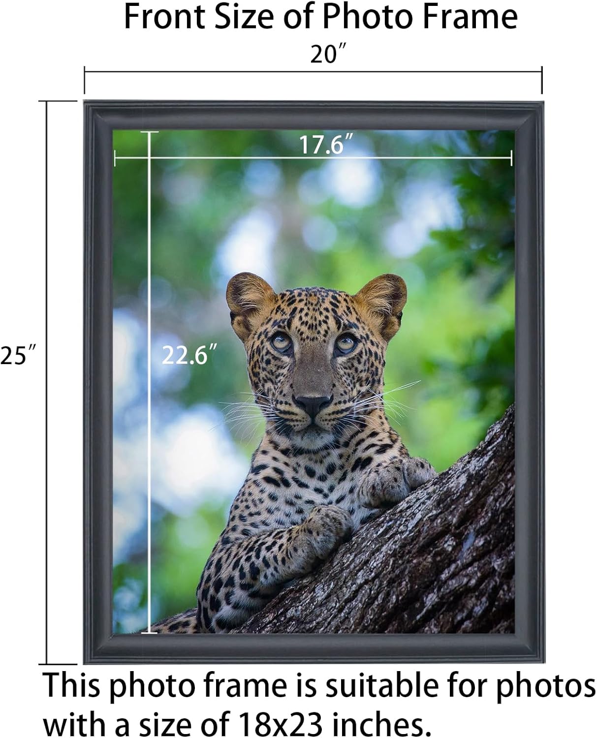 18x23 inch Picture Frame Solid Wood 18x23 Photo Frame 18x23 Poster Frame (A23B1823)