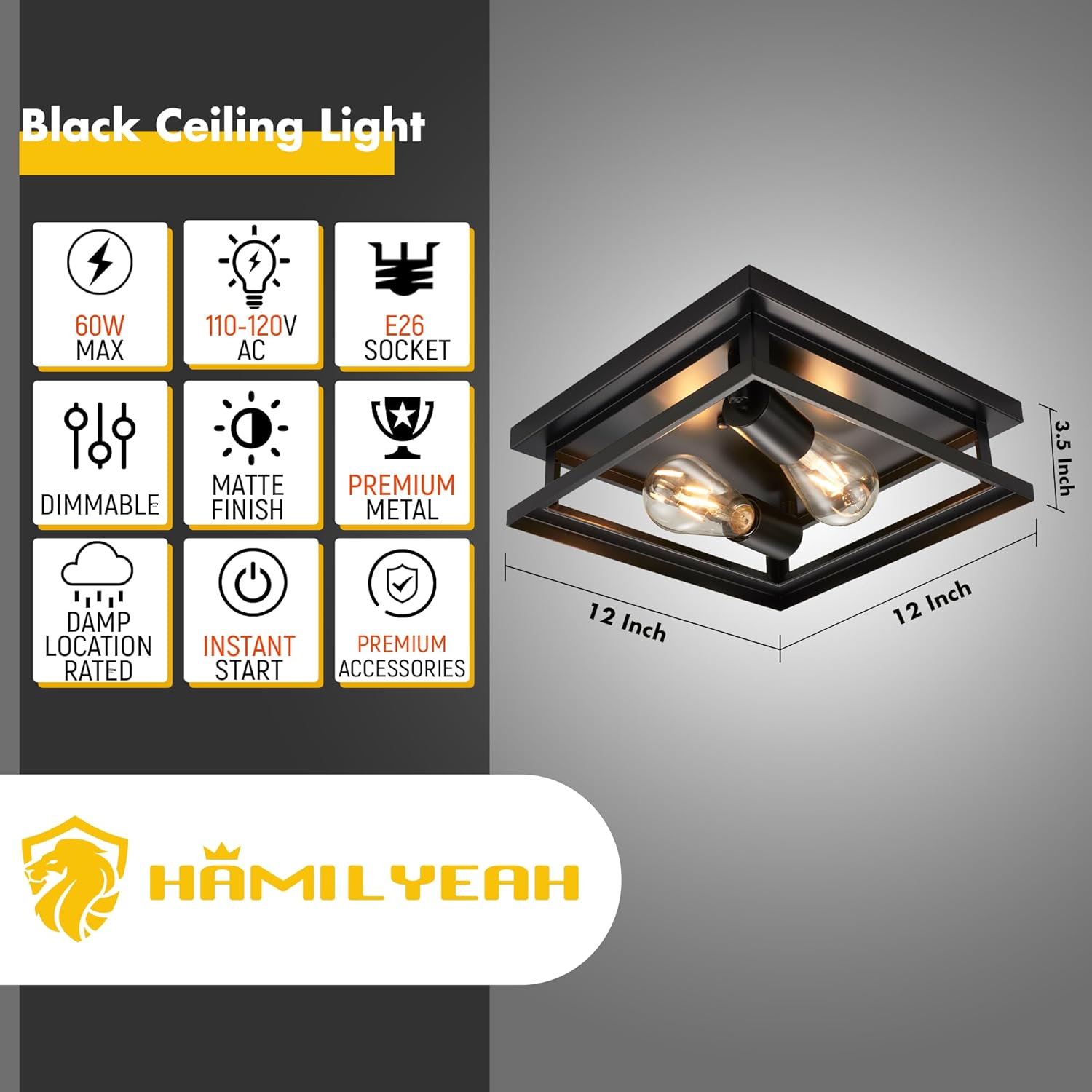 Hamilyeah Farmhouse Flush Mount Ceiling Light Fixture 2 Light, Hallway Ceiling Light Black, Kitchen Light Fixture Ceiling Mount, Simple Close to Ceiling Light Outdoor for Porch, Patio
