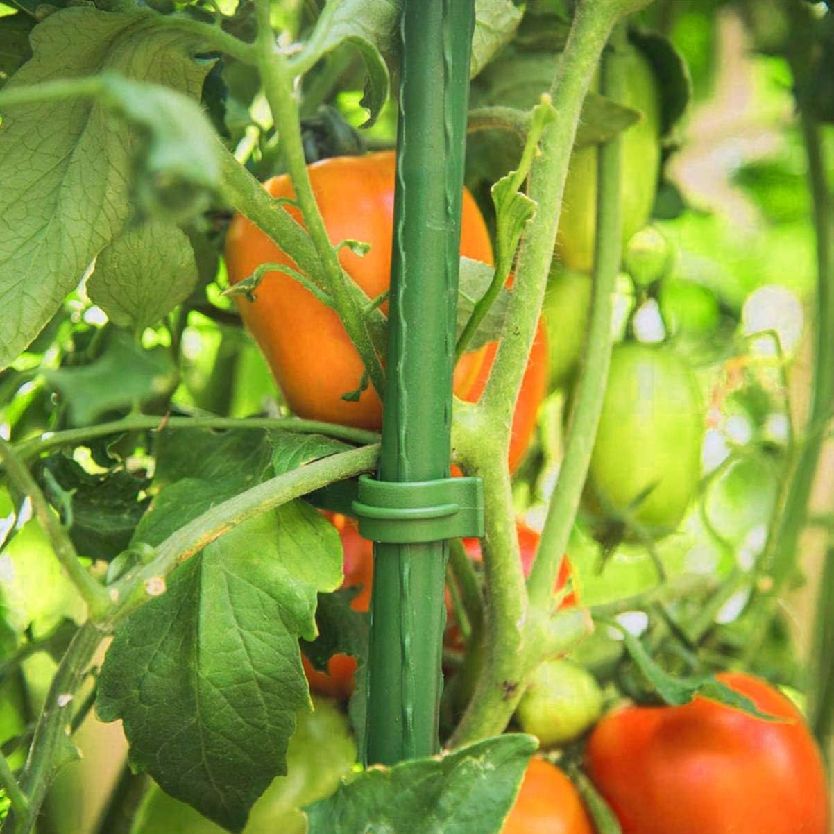 48pcs Stake Arms for Tomato Cage,Tomato Plant Cage,Tomato Garden Cages Stakes Vegetable Trellis,for Vertical Climbing Plants