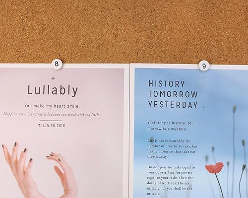 Miniatura 5 de Tupalizy 100 pines de presión de números planos para tablones de anuncios de corcho, 1-100 pines de plástico para mapa de cabeza con punta de acero