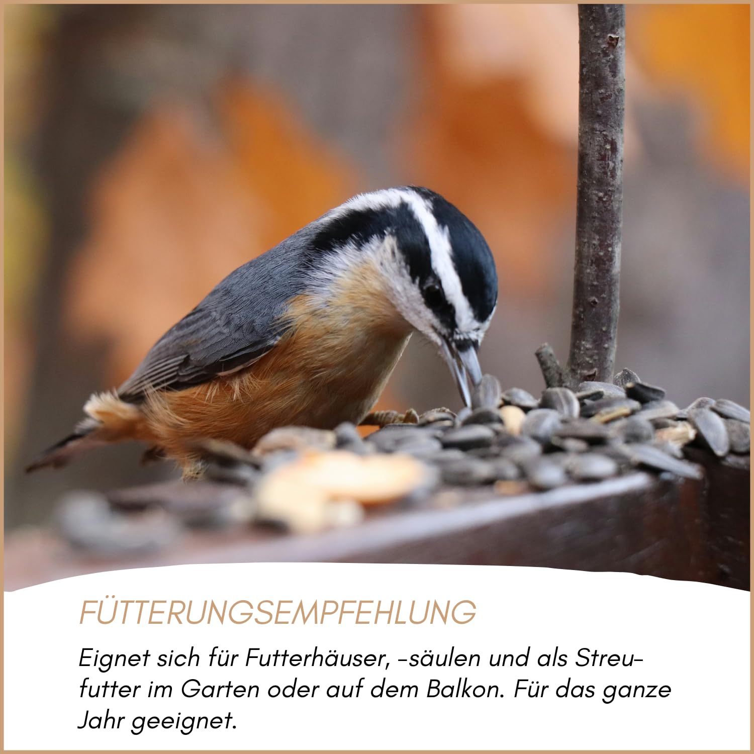 Supravit Sonnenblumenkerne gestreift 25kg – Premium Vogelfutter | für Gartenvögel | energiereiches Wildvogelfutter & Streufutter für Ganzjahresfütterung | ungeschälte Sonnenblumenkerne