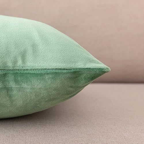 Miniatura 6 de NiNi ALL - Juego de 2 fundas de almohada decorativas de terciopelo, fundas de almohada de terciopelo para sofá, fundas de almohada para dormitorio,