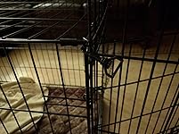 Review Image by MightyDwighty MightyDwighty