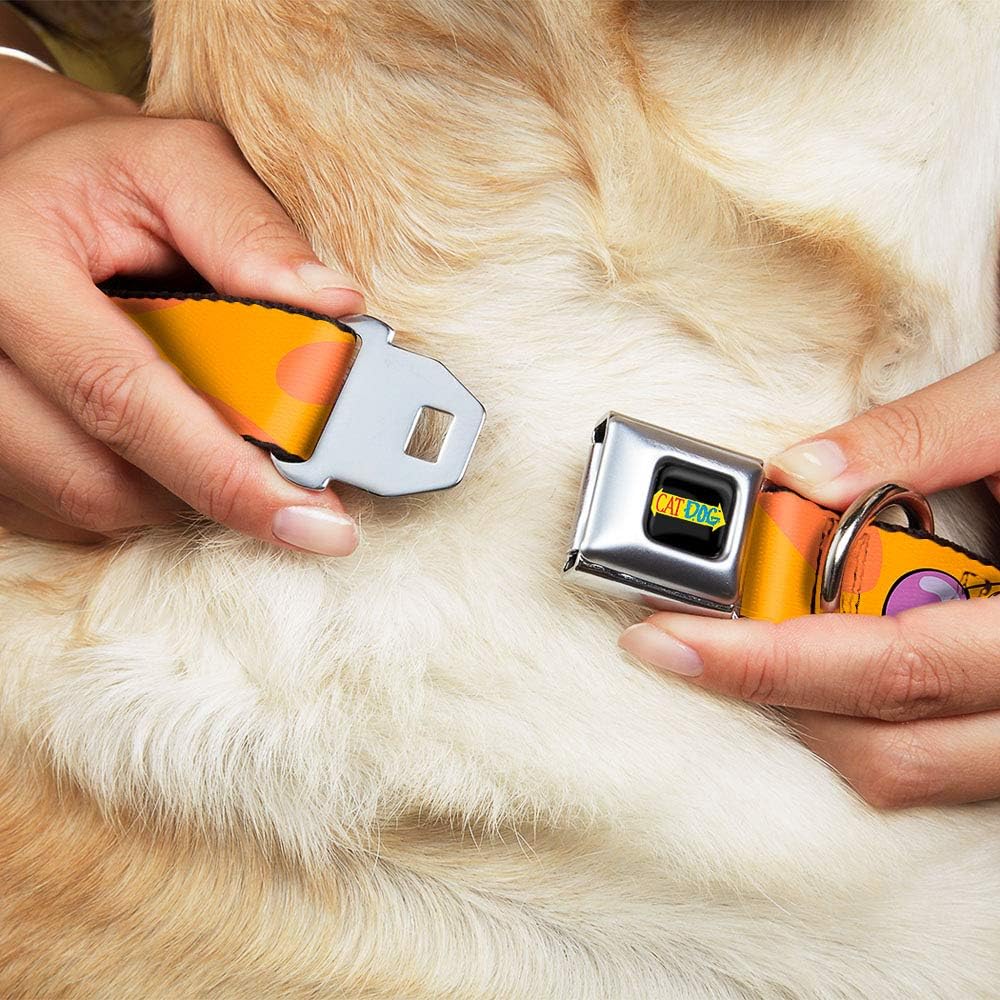 Buckle-Down Seatbelt Buckle Dog Collar - CatDog Stretch/CATDOG Logo - 1" Wide - Fits 9-15" Neck - Small
