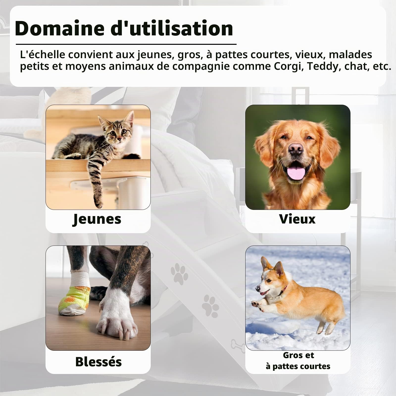 LZQ Escalier pour chiens et chats - Pliable - En plastique polypropylène - 50 cm de haut - Avec marches antidérapantes - Rampe canapé pour chiens et chats - Pour grimper et griffer - Gris