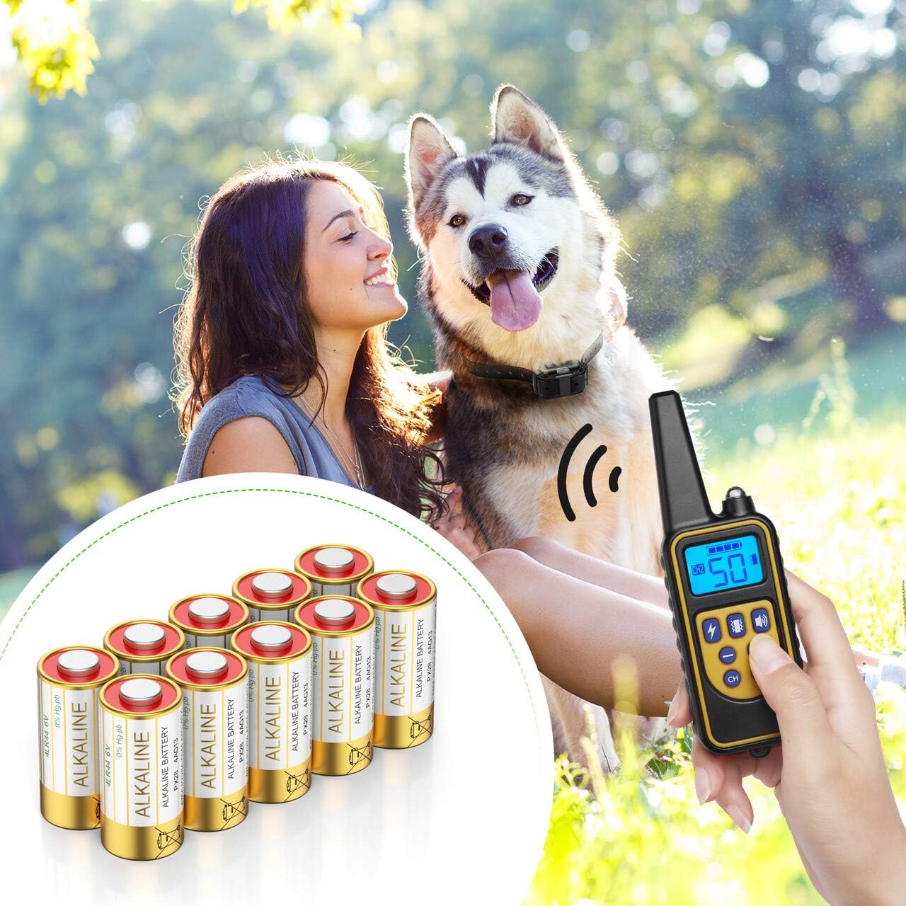 EBL 6 Volt Battery 4LR44 Dog Collar Batteries (10 Pack) 6V Alkaline Batteries 476A / PX28A / A544 / K28A / L1325