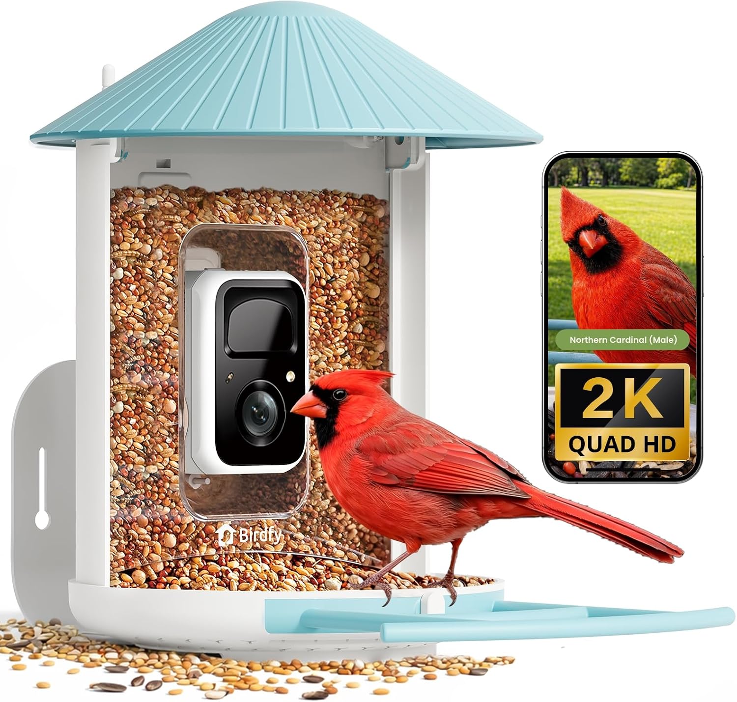 NETVUE by Birdfy Smart Bird Feeder with 2K AI Camera, Value for Beginners