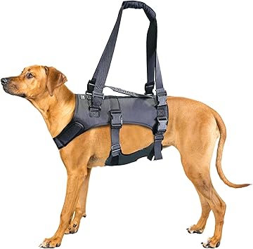 Doggie Stylz Dog Lift Harness for Large Dogs Full Body Support Sling Dog Carrier has Adjustable Handles Recovery Vest for Senior Dogs, Arthritis Joint Injuries, Mobility Aid Back Leg Support Small