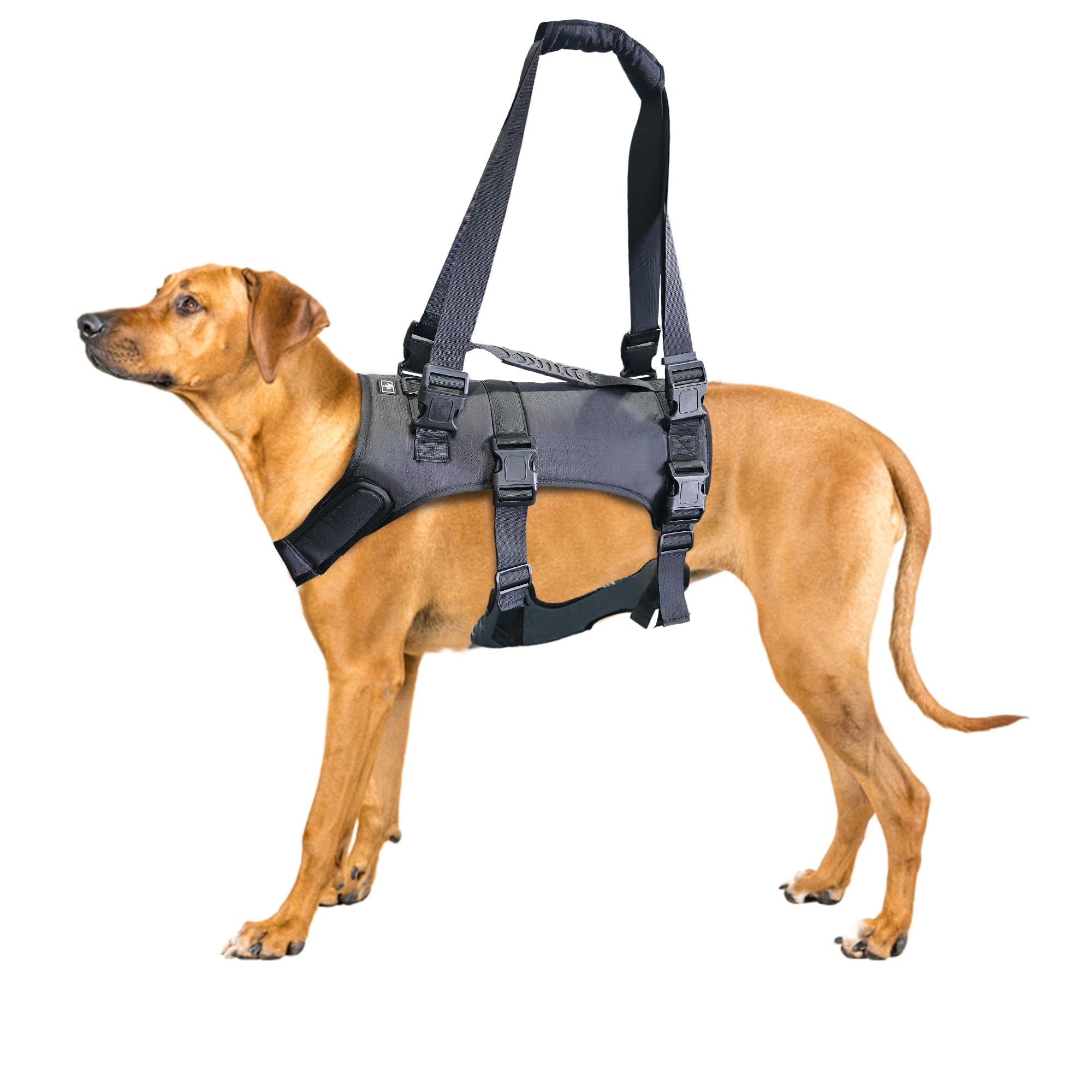 Doggie Stylz Full Body Harness