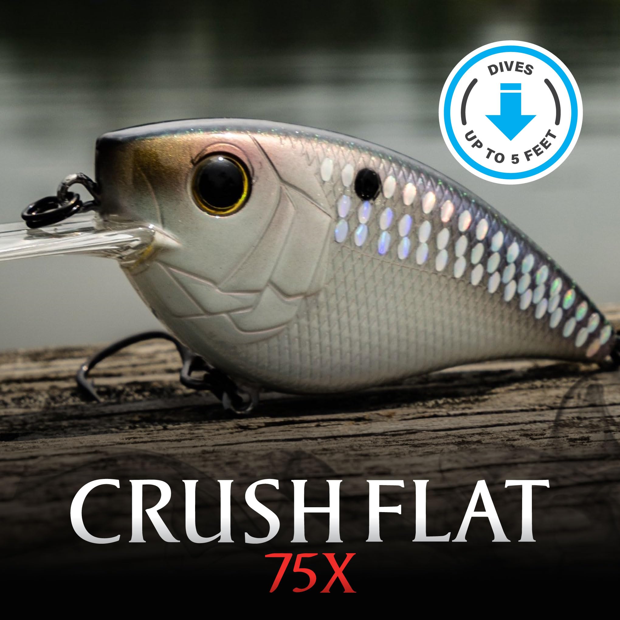 Amazon.co.jp: 6th Sense Crush フラット 75X クランクベイト (2