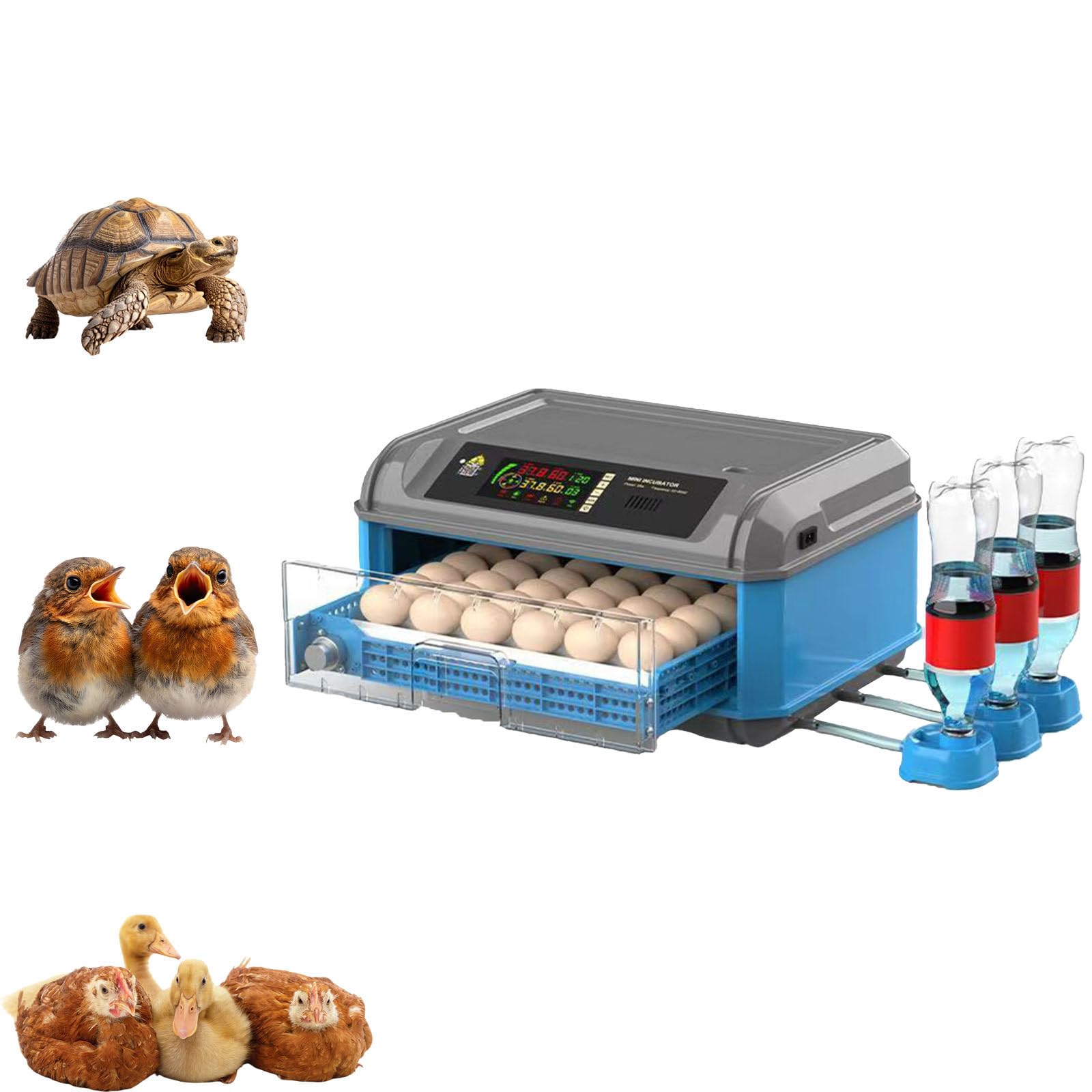 Incubadora Automática Huevos Para Pollos Patos Codornices Con Capacidad 24 A 300 Aves Con Control Automático Temperatura Humedad Pantalla LED Funcionamiento Automático Para Granjas Domésticas(36)