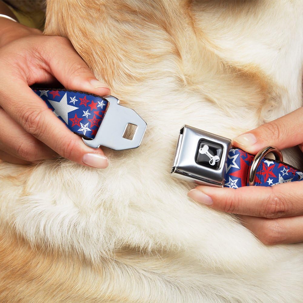 Dog Collar Seatbelt Buckle Stargazer Blue White Red 11 to 17 Inches 1.0 Inch Wide