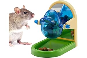 Interactive Pet Rat Toys for Mental Stimulation